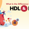 What Is the Difference Between HDL and LDL?
