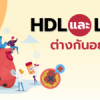 HDL และ LDL ต่างกันอย่างไร?
