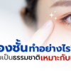 ทำตาสองชั้นอย่างไร ให้ดูสวยเป็น ธรรมชาติ เหมาะกับเรา