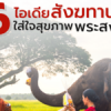 6 ไอเดีย สังฆทานใส่ใจสุขภาพพระสงฆ์