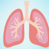 Detox ปอดฉบับทำเองได้: 5 กิจกรรมสร้างอากาศบริสุทธิ์ให้ร่างกายจากภายใน