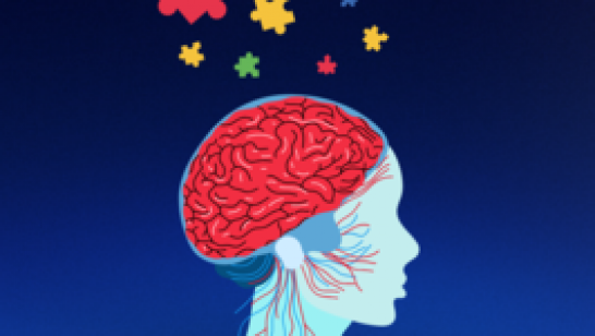 ปกป้องสมอง…ก่อนสายเกินไป เคล็ดลับป้องกันโรคหลอดเลือดในสมอง