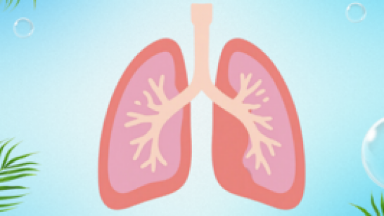 Detox ปอดฉบับทำเองได้: 5 กิจกรรมสร้างอากาศบริสุทธิ์ให้ร่างกายจากภายใน