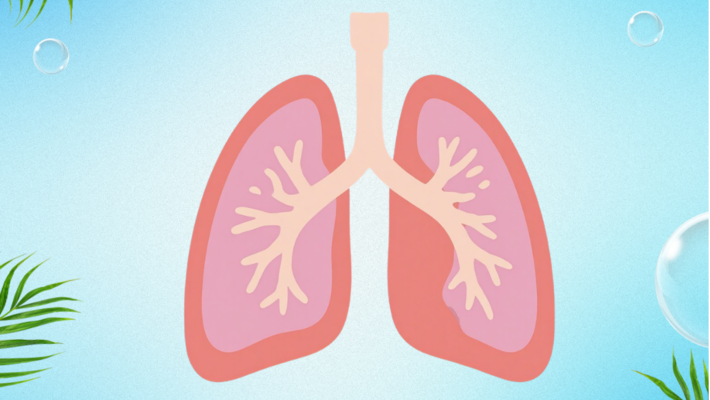 5 Activities to Purify Your Body's Air from Within