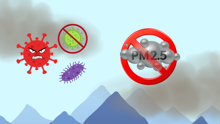 Notice! These symptoms could be influenza, COVID-19, or an allergy to PM2.5 dust.