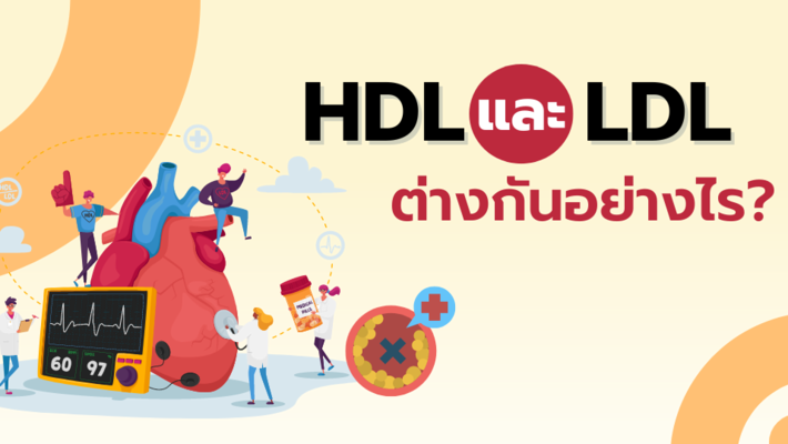 HDL และ LDL ต่างกันอย่างไร?