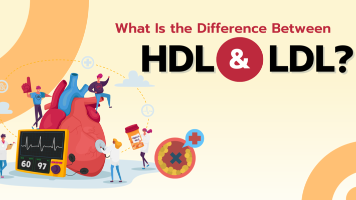 What Is the Difference Between HDL and LDL?