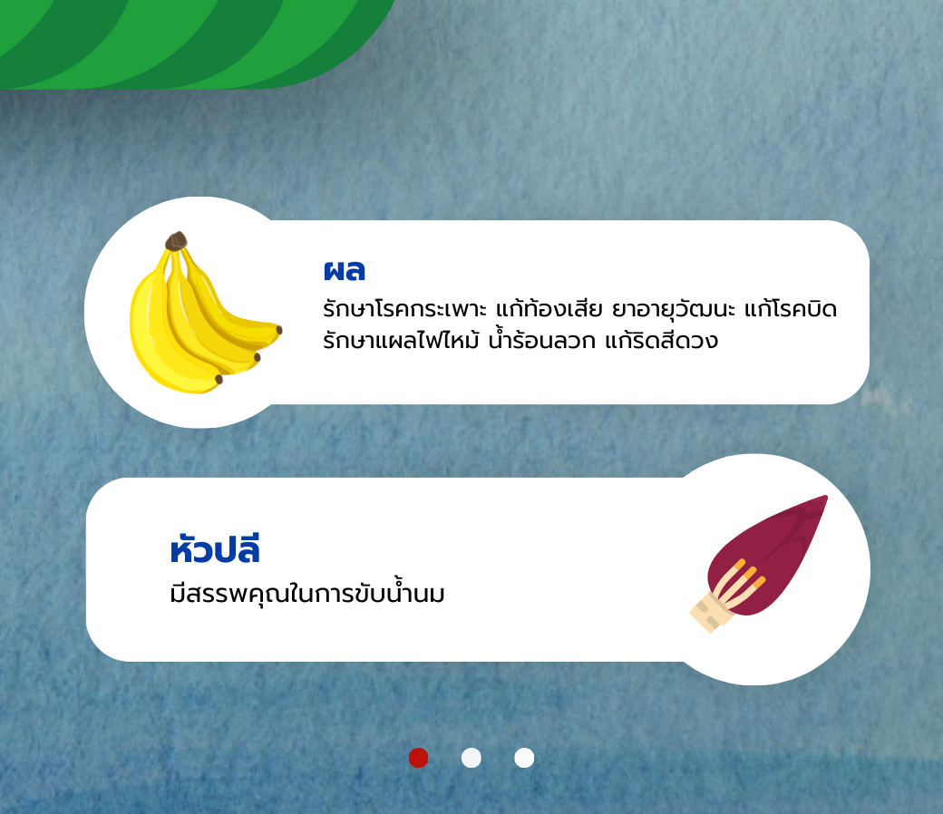 ปลี.png