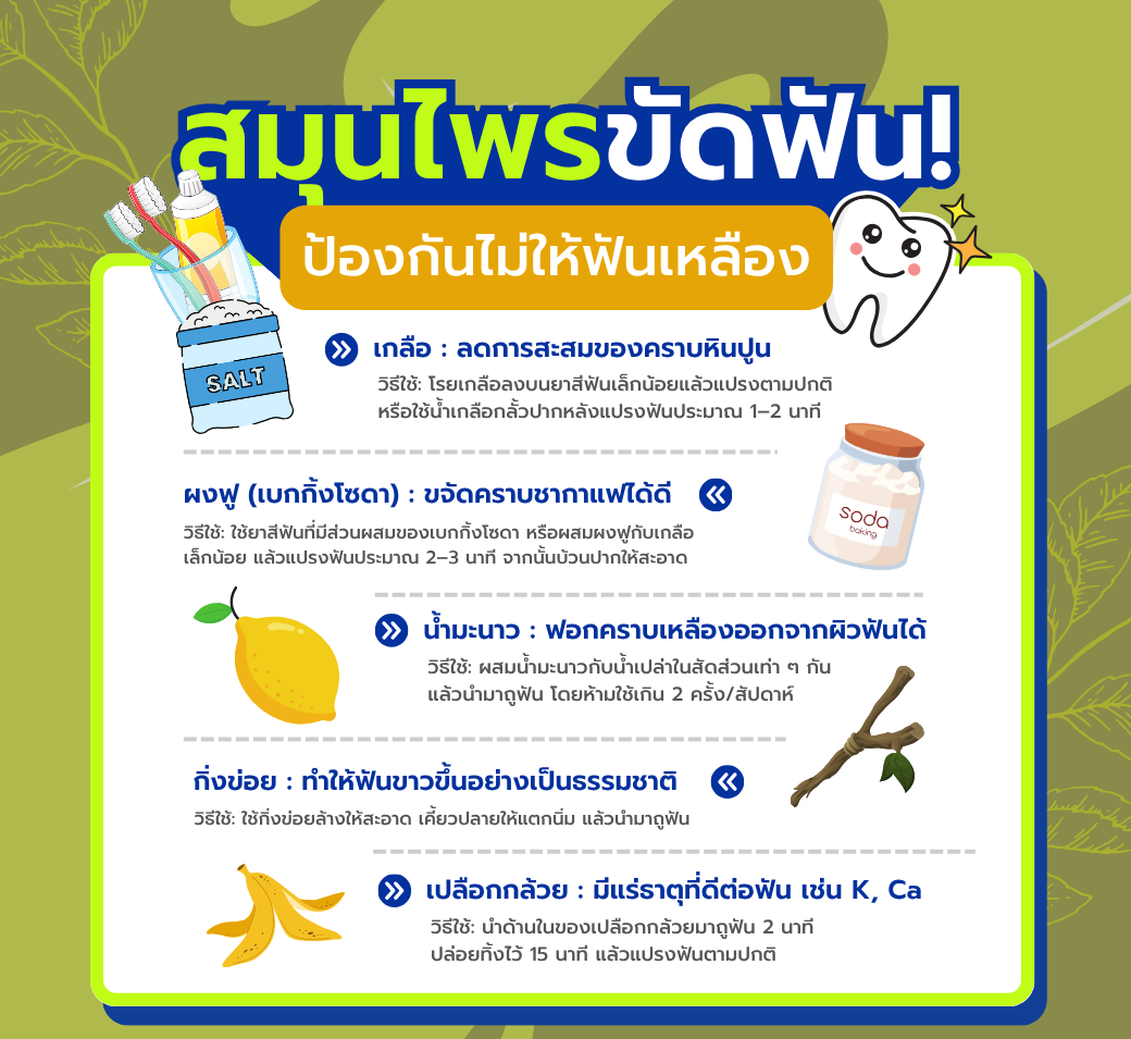 5สมุนไพรขัดฟันป้องกันฟันเหลือง.png