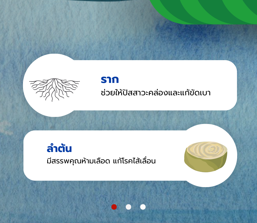 ราก.png