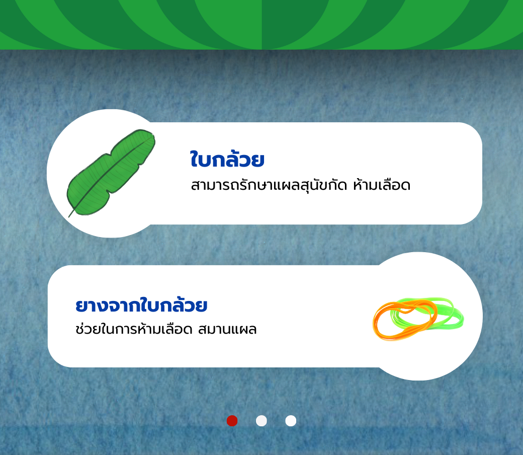 ใบ.png