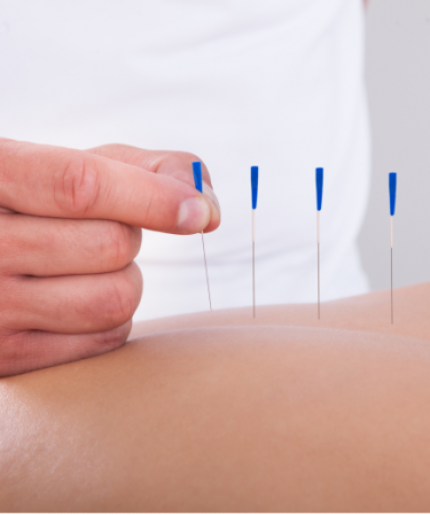 Acupuncture program to adjust the metabolic system
