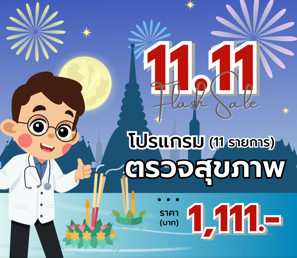 โปร11.11.png